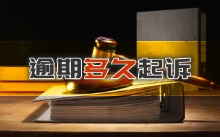 逾期能查询到金额吗怎么查，内行的秘诀！